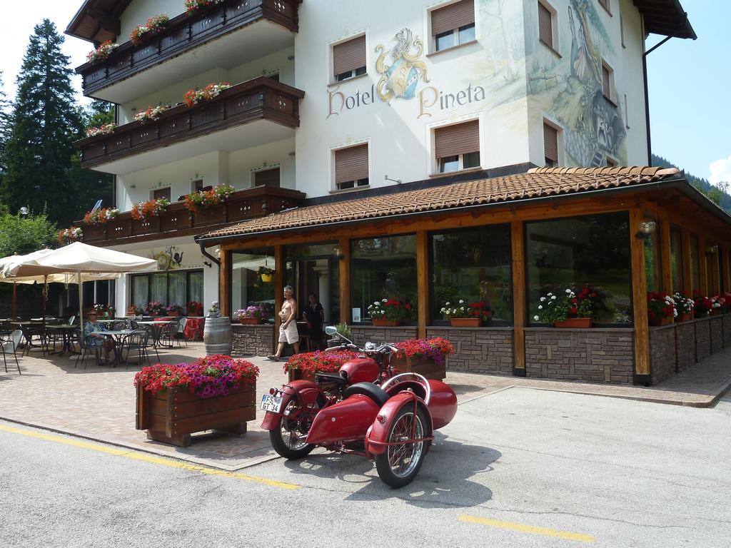 Hotel Pineta Baselga di Pinè Buitenkant foto